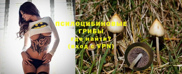 ALPHA PVP Зеленодольск