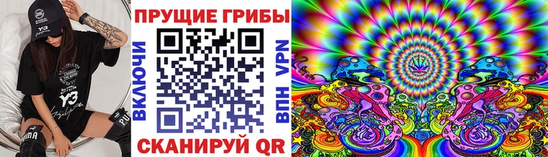 OMG   Северск  Псилоцибиновые грибы Magic Shrooms 