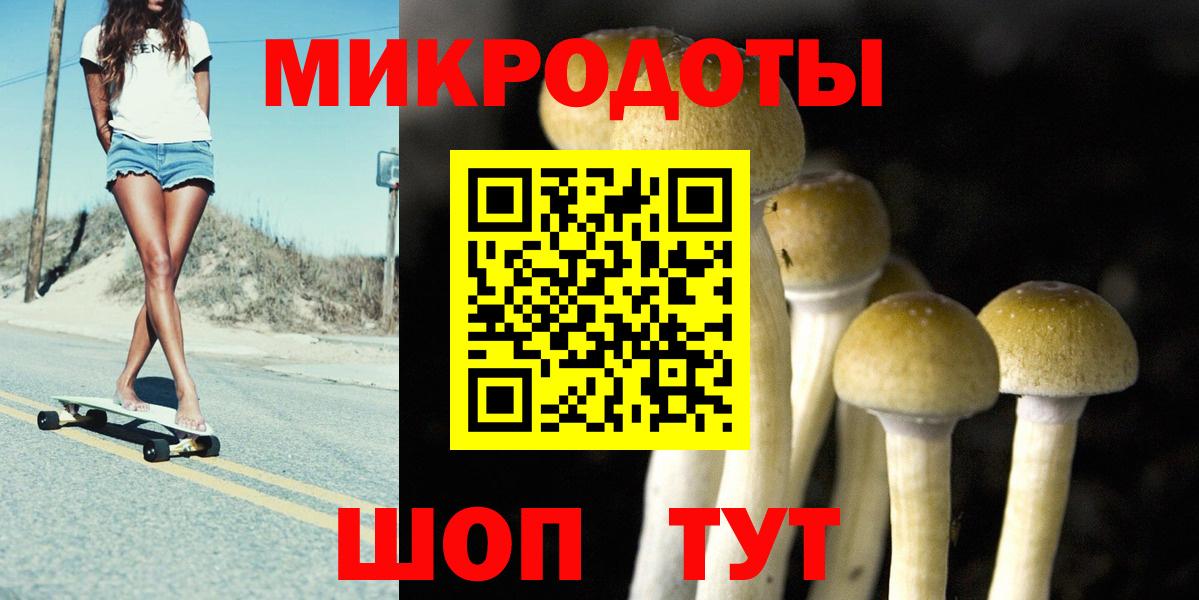 Псилоцибиновые грибы GOLDEN TEACHER  где купить наркоту  Северск  Вход с VPN 