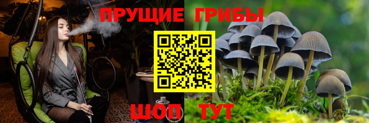 Галлюциногенные грибы мухоморы Северск