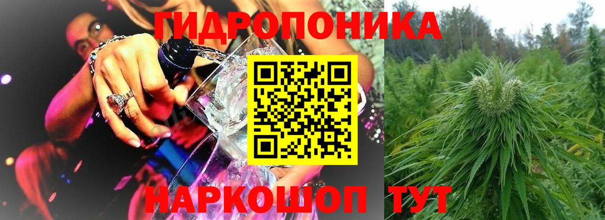 Северск  Канабис план  Конопля марихуана  Шишки марихуана сатива  Вход с VPN 